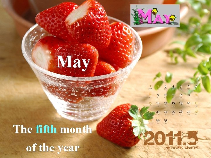 May The fifth month of the year 