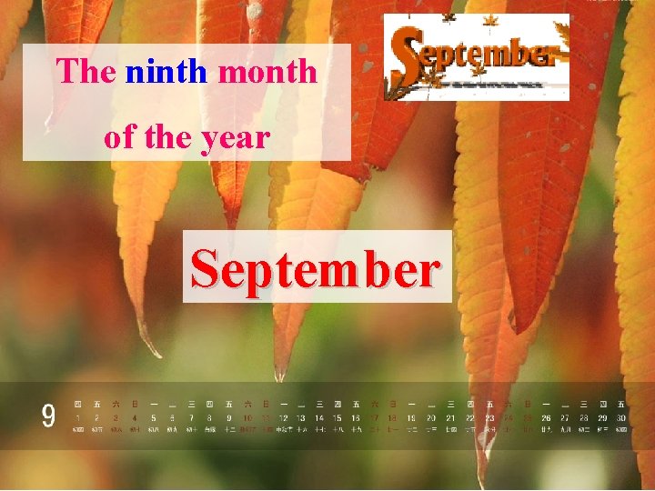 The ninth month of the year September 