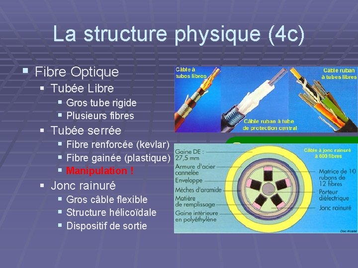 La structure physique (4 c) § Fibre Optique § Tubée Libre § Gros tube