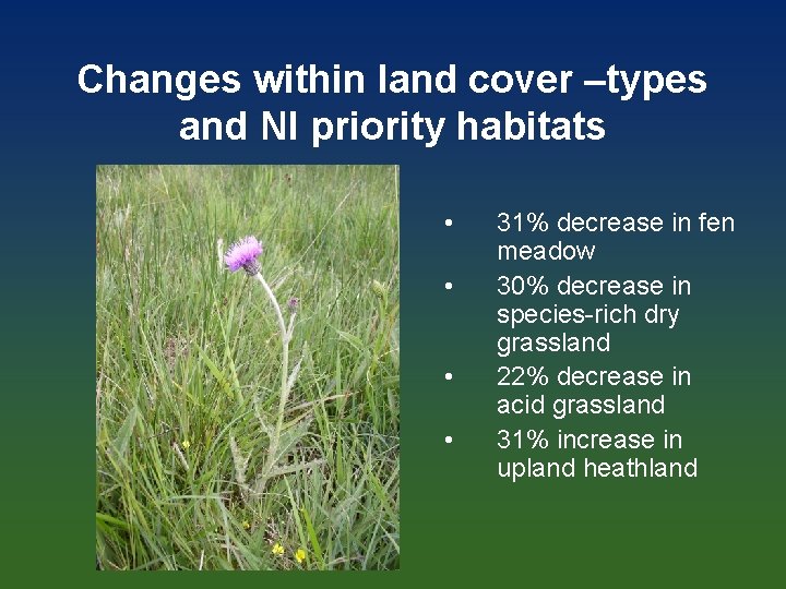 Changes within land cover –types and NI priority habitats • • 31% decrease in