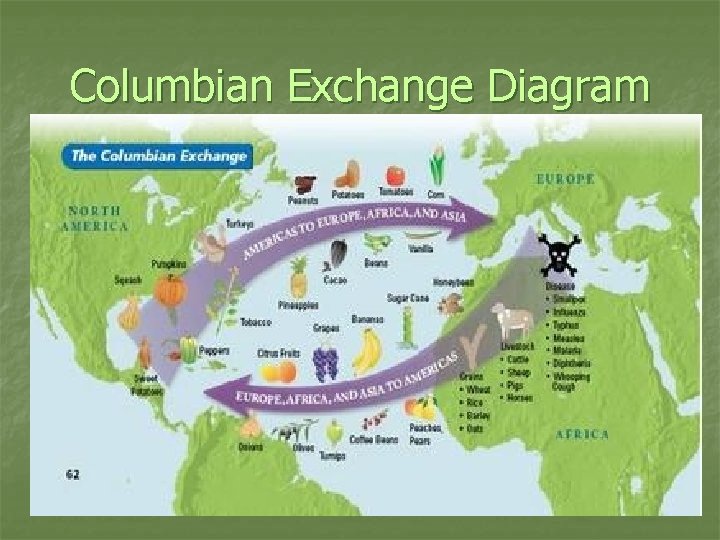 Columbian Exchange Diagram 