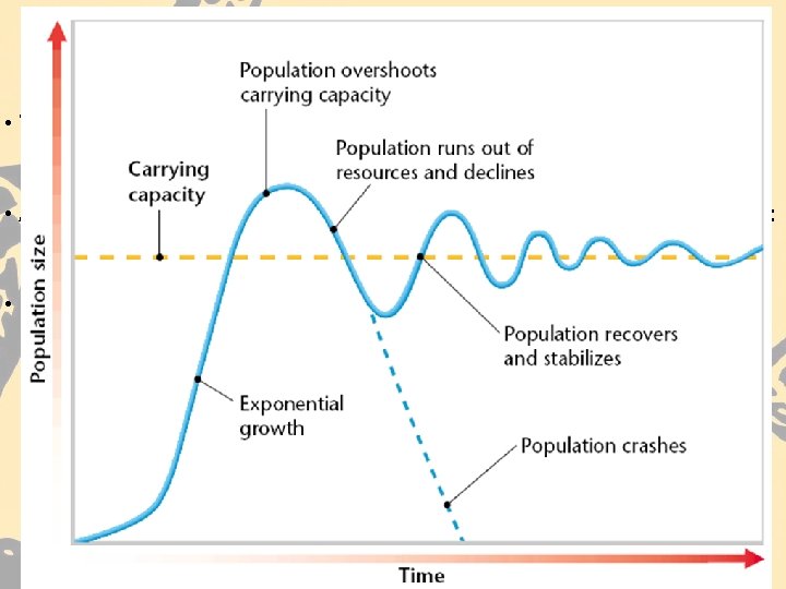 Carrying Capacity • The largest population that an environment can support at any given