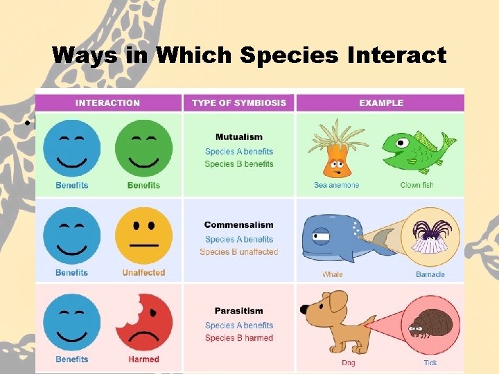 Ways in Which Species Interact • Major types of species interactions: • Competition -/