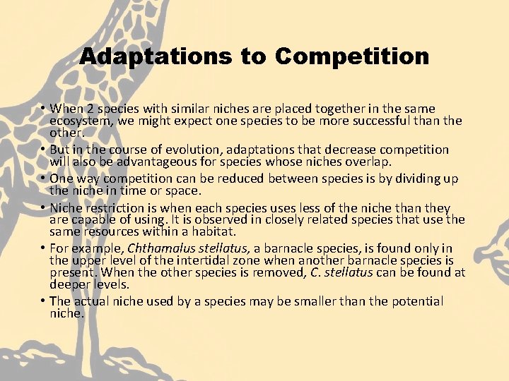 Adaptations to Competition • When 2 species with similar niches are placed together in