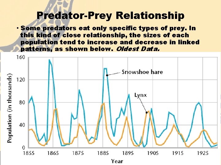 Predator-Prey Relationship • Some predators eat only specific types of prey. In this kind