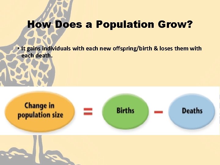 How Does a Population Grow? • It gains individuals with each new offspring/birth &