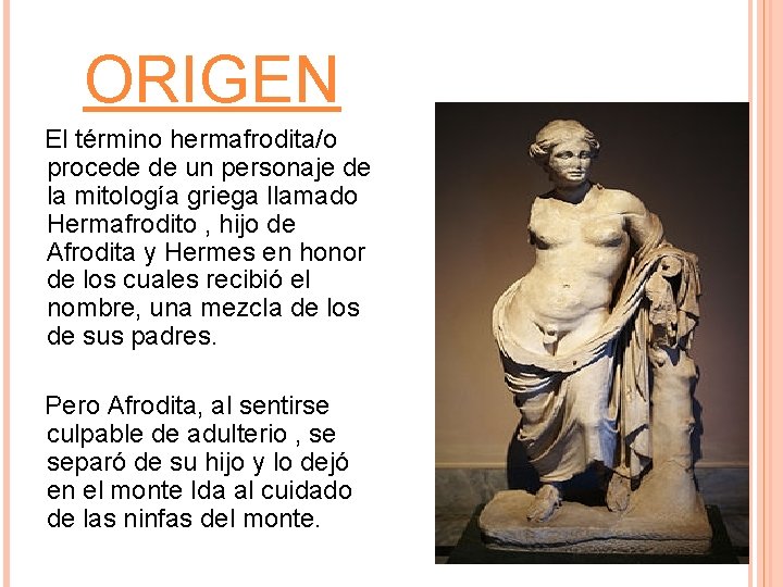 HERMAFRODITISMO Hecho por Jorge Ballesteros Ana Fernndez Alicia