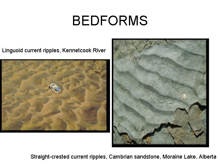 BEDFORMS Linguoid current ripples, Kennetcook River Straight-crested current ripples, Cambrian sandstone, Moraine Lake, Alberta