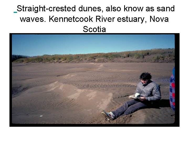  Straight-crested dunes, also know as sand waves. Kennetcook River estuary, Nova Scotia 