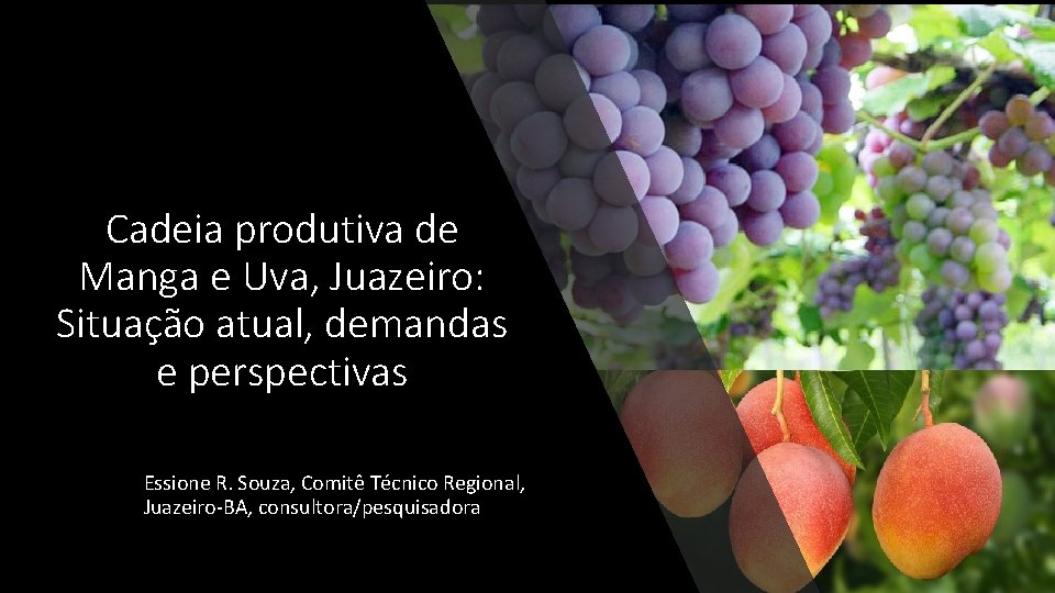 Cadeia produtiva de Manga e Uva, Juazeiro: Situação atual, demandas e perspectivas Essione R.