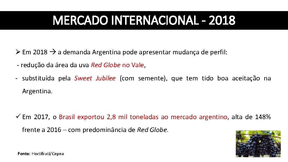 MERCADO INTERNACIONAL - 2018 Ø Em 2018 a demanda Argentina pode apresentar mudança de