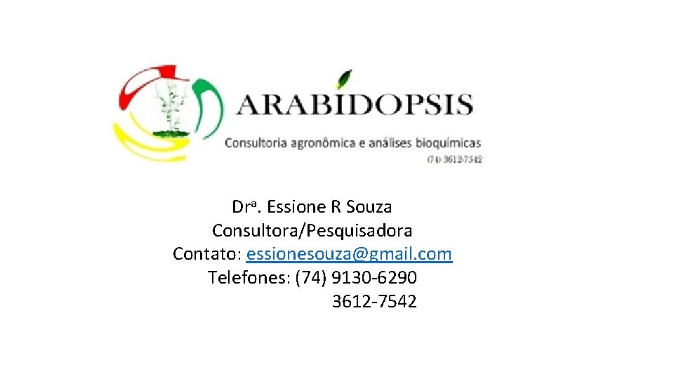 Dra. Essione R Souza Consultora/Pesquisadora Contato: essionesouza@gmail. com Telefones: (74) 9130 -6290 3612 -7542