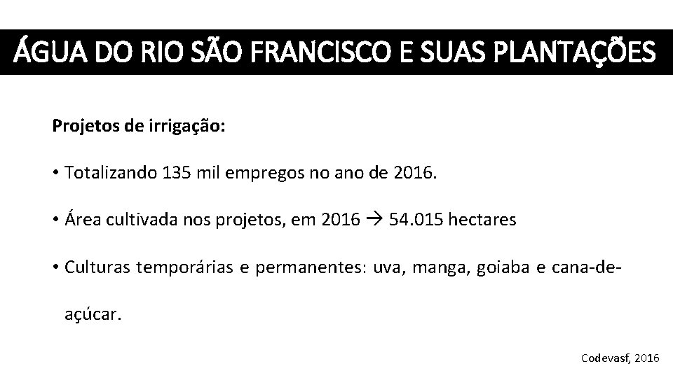 ÁGUA DO RIO SÃO FRANCISCO E SUAS PLANTAÇÕES Projetos de irrigação: • Totalizando 135