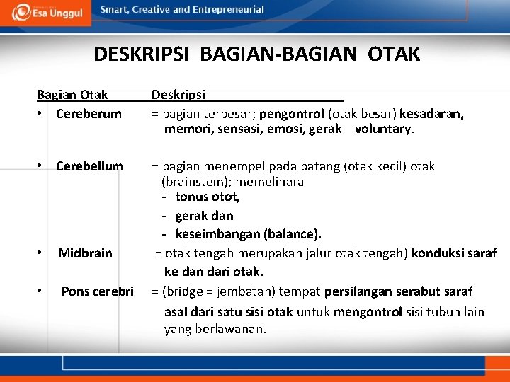 DESKRIPSI BAGIAN-BAGIAN OTAK Bagian Otak • Cereberum Deskripsi = bagian terbesar; pengontrol (otak besar)