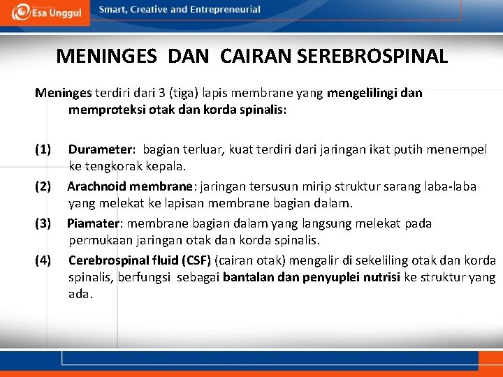 MENINGES DAN CAIRAN SEREBROSPINAL Meninges terdiri dari 3 (tiga) lapis membrane yang mengelilingi dan