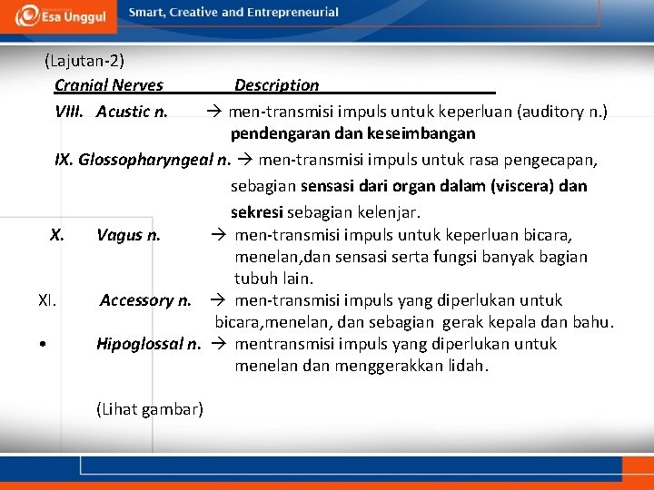 (Lajutan-2) Cranial Nerves VIII. Acustic n. Description men-transmisi impuls untuk keperluan (auditory n. )