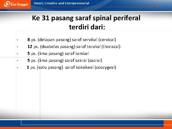 Ke 31 pasang saraf spinal periferal terdiri dari: - 8 ps. (delapan pasang) saraf