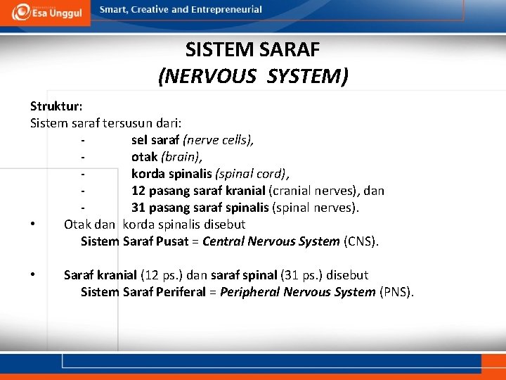 SISTEM SARAF (NERVOUS SYSTEM) Struktur: Sistem saraf tersusun dari: sel saraf (nerve cells), otak