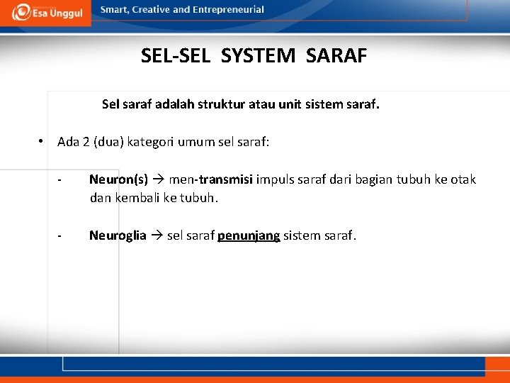 SEL-SEL SYSTEM SARAF Sel saraf adalah struktur atau unit sistem saraf. • Ada 2