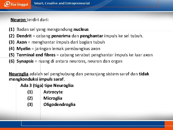 Neuron terdiri dari: (1) (2) (3) (4) (5) (6) Badan sel yang mengandung nucleus