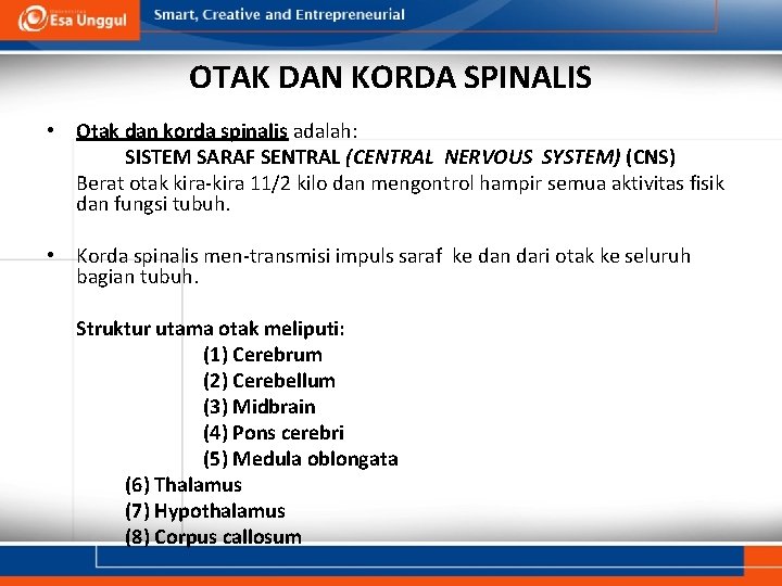 OTAK DAN KORDA SPINALIS • Otak dan korda spinalis adalah: SISTEM SARAF SENTRAL (CENTRAL