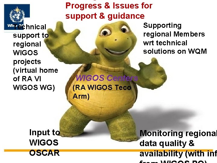 Progress & Issues for support & guidance Technical support to regional WIGOS projects (virtual