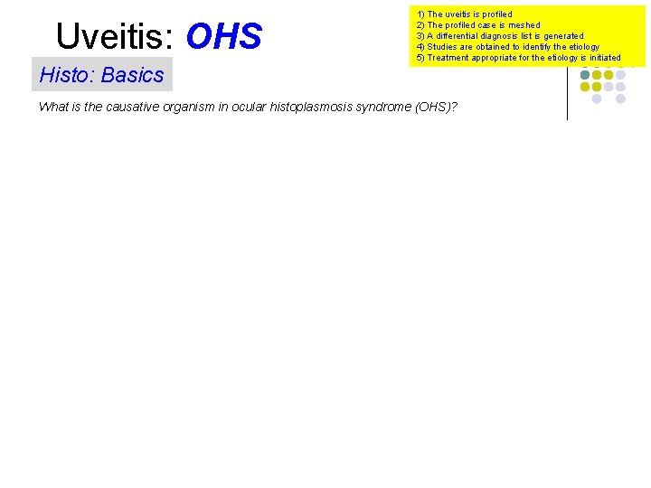 Uveitis: OHS Histo: Basics 1) The uveitis is profiled 2) The profiled case is