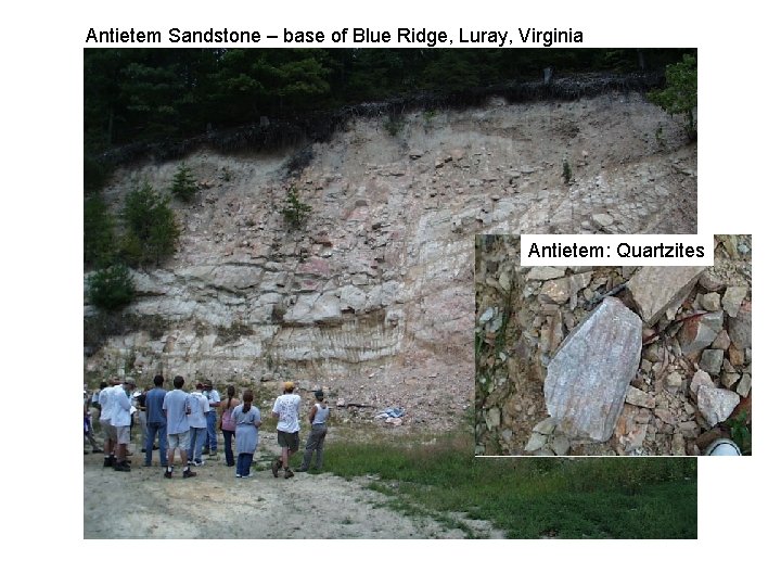 Antietem Sandstone – base of Blue Ridge, Luray, Virginia Antietem: Quartzites Antietem Sandstone – base of Blue Ridge, Luray, Virginia Antietem: Quartzites