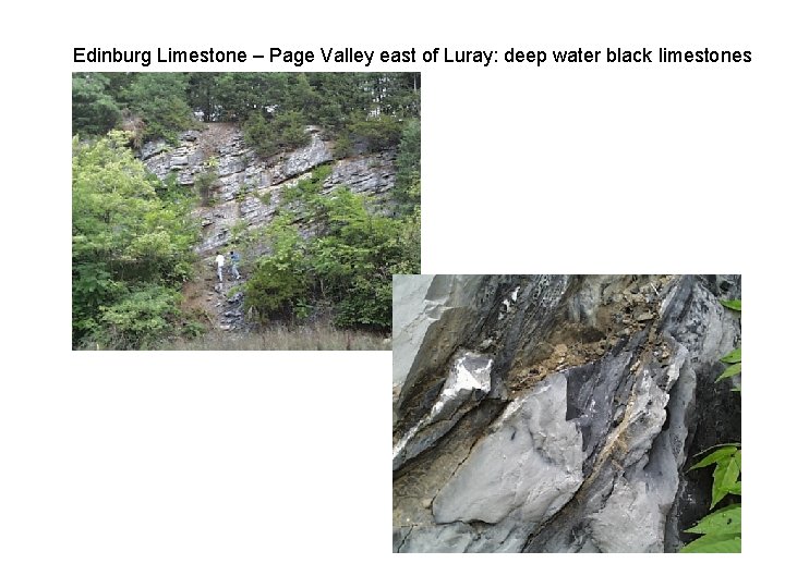 Edinburg Limestone – Page Valley east of Luray: deep water black limestones Edinburg Limestone – Page Valley east of Luray: deep water black limestones