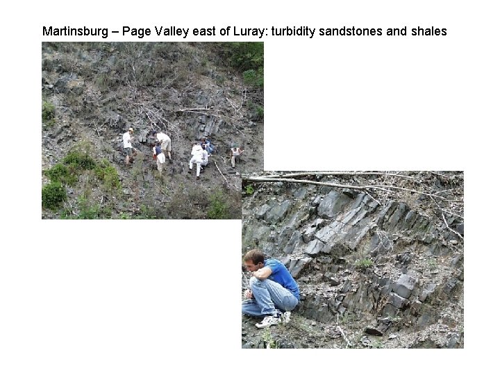 Martinsburg – Page Valley east of Luray: turbidity sandstones and shales Martinsburg – Page Valley east of Luray: turbidity sandstones and shales