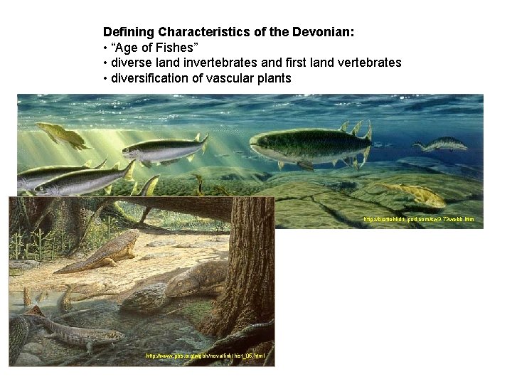 Defining Characteristics of the Devonian: • “Age of Fishes” • diverse land invertebrates and Defining Characteristics of the Devonian: • “Age of Fishes” • diverse land invertebrates and