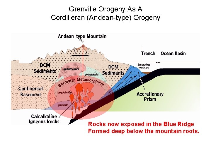 Grenville Orogeny As A Cordilleran (Andean-type) Orogeny Rocks now exposed in the Blue Ridge Grenville Orogeny As A Cordilleran (Andean-type) Orogeny Rocks now exposed in the Blue Ridge
