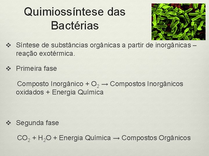 Quimiossíntese das Bactérias v Síntese de substâncias orgânicas a partir de inorgânicas – reação