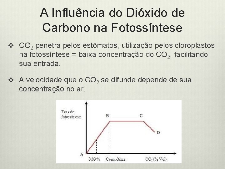 A Influência do Dióxido de Carbono na Fotossíntese v CO 2 penetra pelos estômatos,