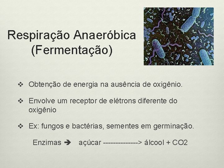 Respiração Anaeróbica (Fermentação) v Obtenção de energia na ausência de oxigênio. v Envolve um