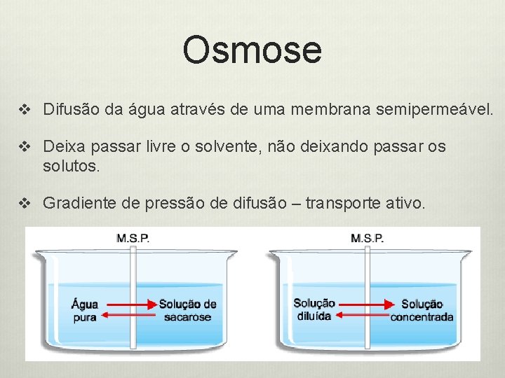 Osmose v Difusão da água através de uma membrana semipermeável. v Deixa passar livre