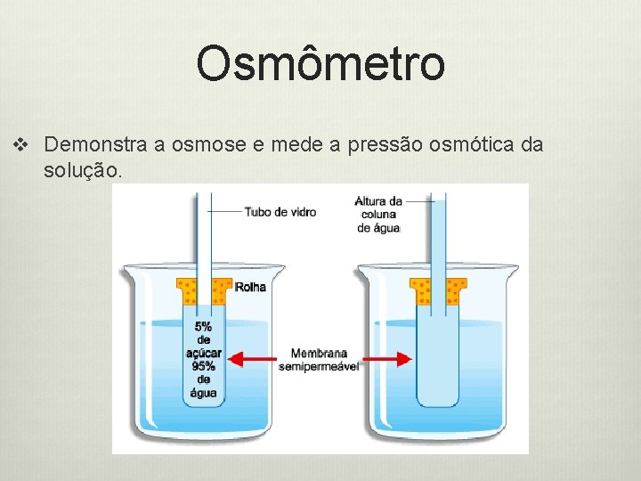 Osmômetro v Demonstra a osmose e mede a pressão osmótica da solução. 