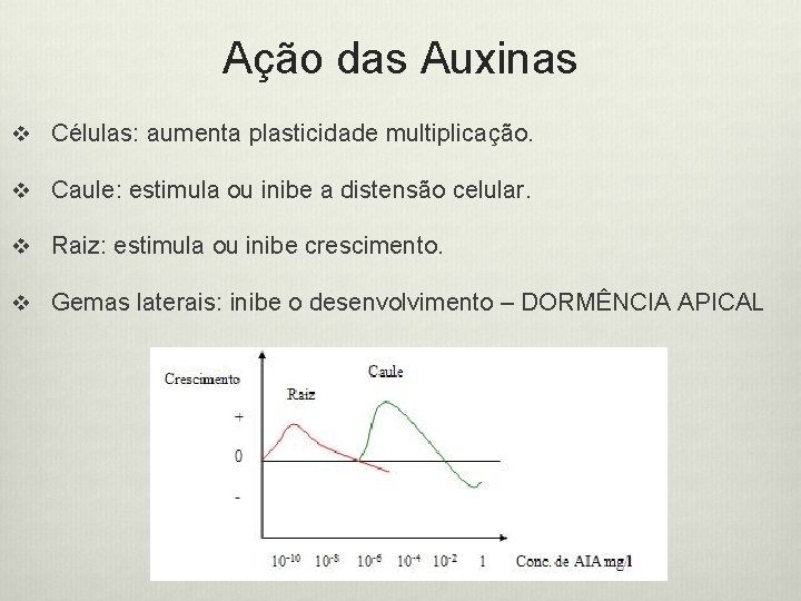 Ação das Auxinas v Células: aumenta plasticidade multiplicação. v Caule: estimula ou inibe a