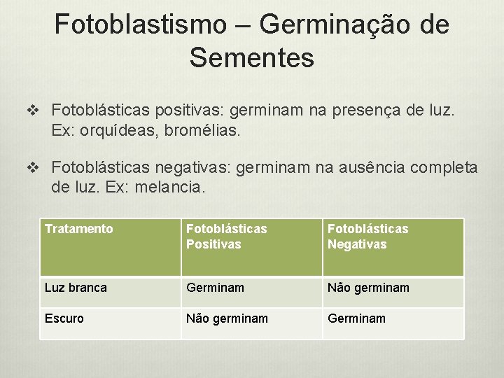 Fotoblastismo – Germinação de Sementes v Fotoblásticas positivas: germinam na presença de luz. Ex: