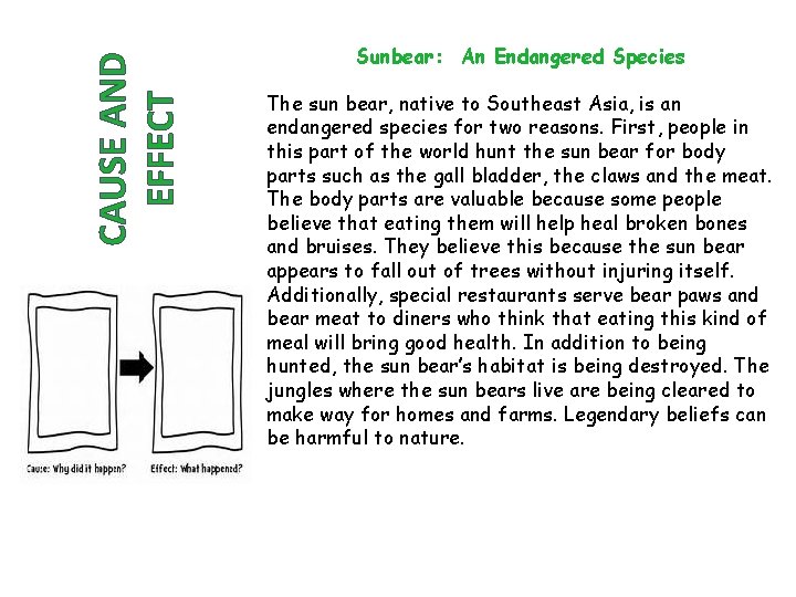 CAUSE AND EFFECT Sunbear: An Endangered Species The sun bear, native to Southeast Asia,