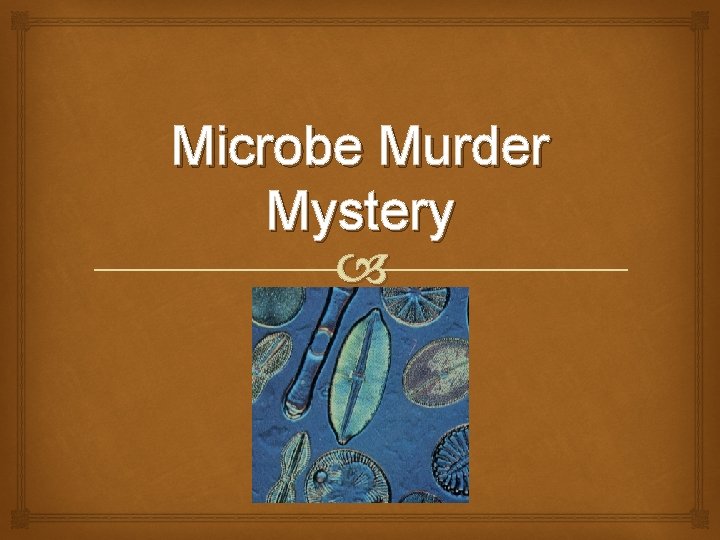 Microbe Murder Mystery 