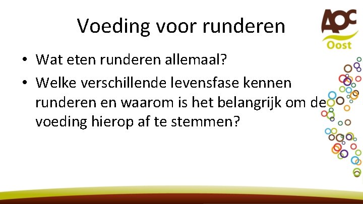 Voeding voor runderen • Wat eten runderen allemaal? • Welke verschillende levensfase kennen runderen