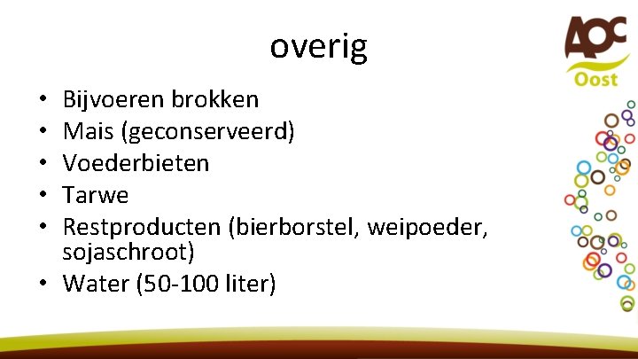 overig Bijvoeren brokken Mais (geconserveerd) Voederbieten Tarwe Restproducten (bierborstel, weipoeder, sojaschroot) • Water (50