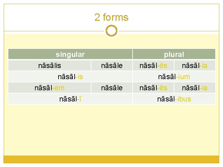 2 forms singular nāsālis nāsāl-em nāsāl-ī nāsāle plural nāsāl-ēs nāsāl-ia nāsāl-ium nāsāl-ēs nāsāl-ia nāsāl-ibus 2 forms singular nāsālis nāsāl-em nāsāl-ī nāsāle plural nāsāl-ēs nāsāl-ia nāsāl-ium nāsāl-ēs nāsāl-ia nāsāl-ibus