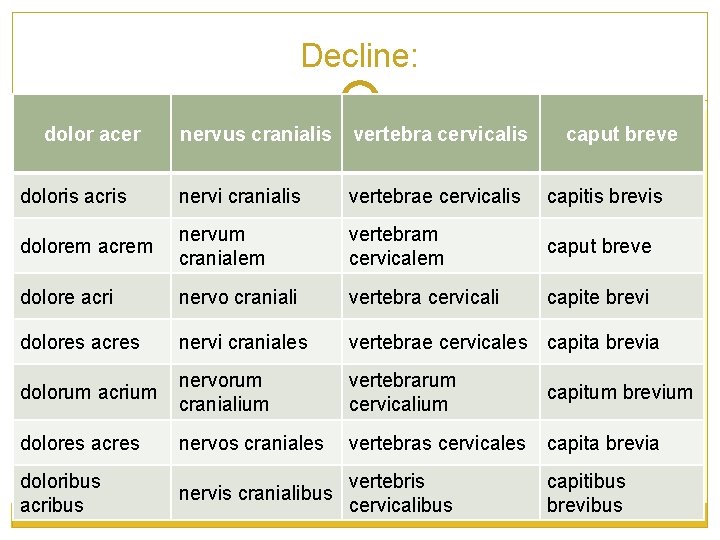 Decline: dolor acer nervus cranialis vertebra cervicalis caput breve doloris acris nervi cranialis vertebrae Decline: dolor acer nervus cranialis vertebra cervicalis caput breve doloris acris nervi cranialis vertebrae