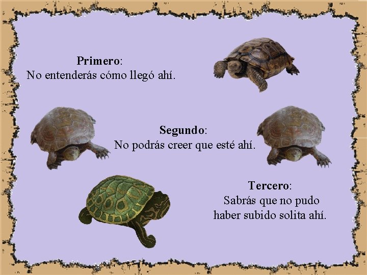 Primero: No entenderás cómo llegó ahí. Segundo: No podrás creer que esté ahí. Tercero: