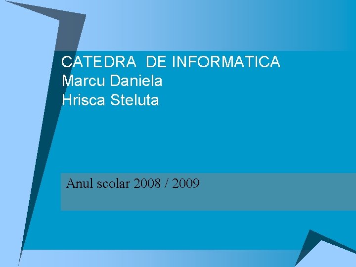 CATEDRA DE INFORMATICA Marcu Daniela Hrisca Steluta Anul scolar 2008 / 2009 