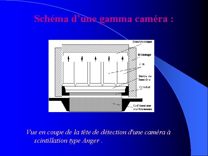 Schéma d’une gamma caméra : Vue en coupe de la tête de détection d'une