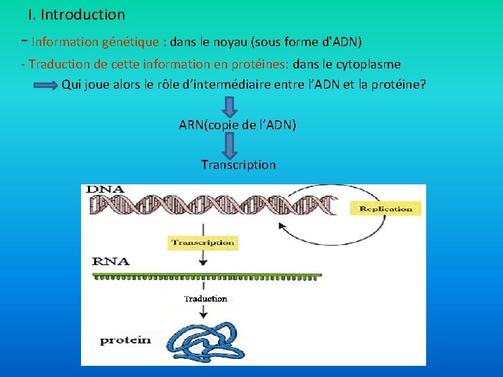 I. Introduction - Information génétique : dans le noyau (sous forme d'ADN) - Traduction