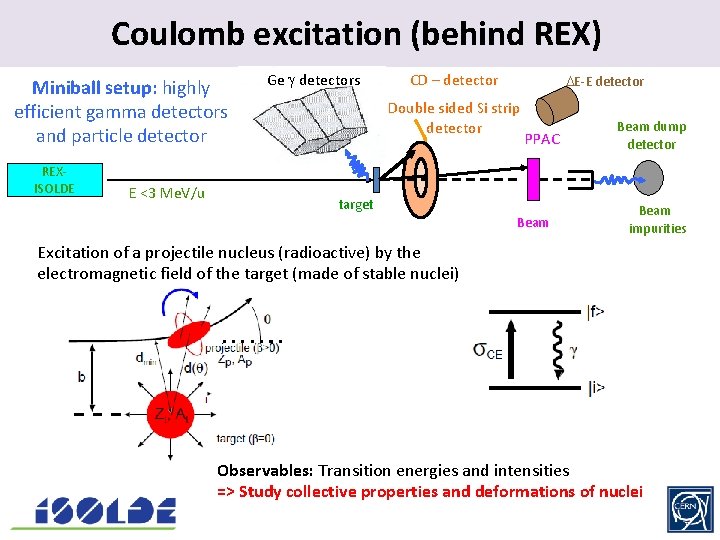 Coulomb excitation. (behind REX) Miniball setup: highly efficient gamma detectors and particle detector REXISOLDE